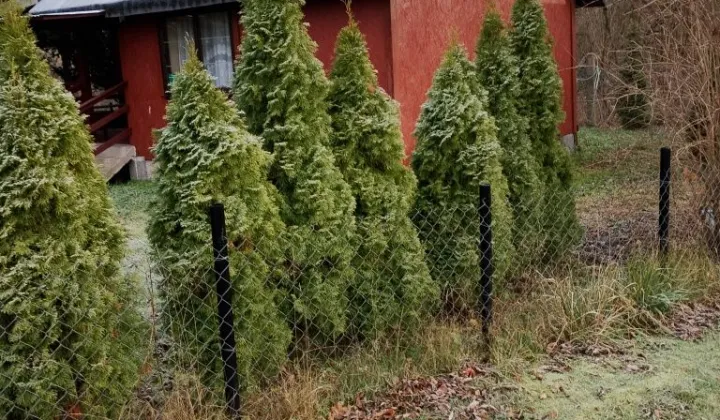 dom letniskowy Komornica, ul. Promowa