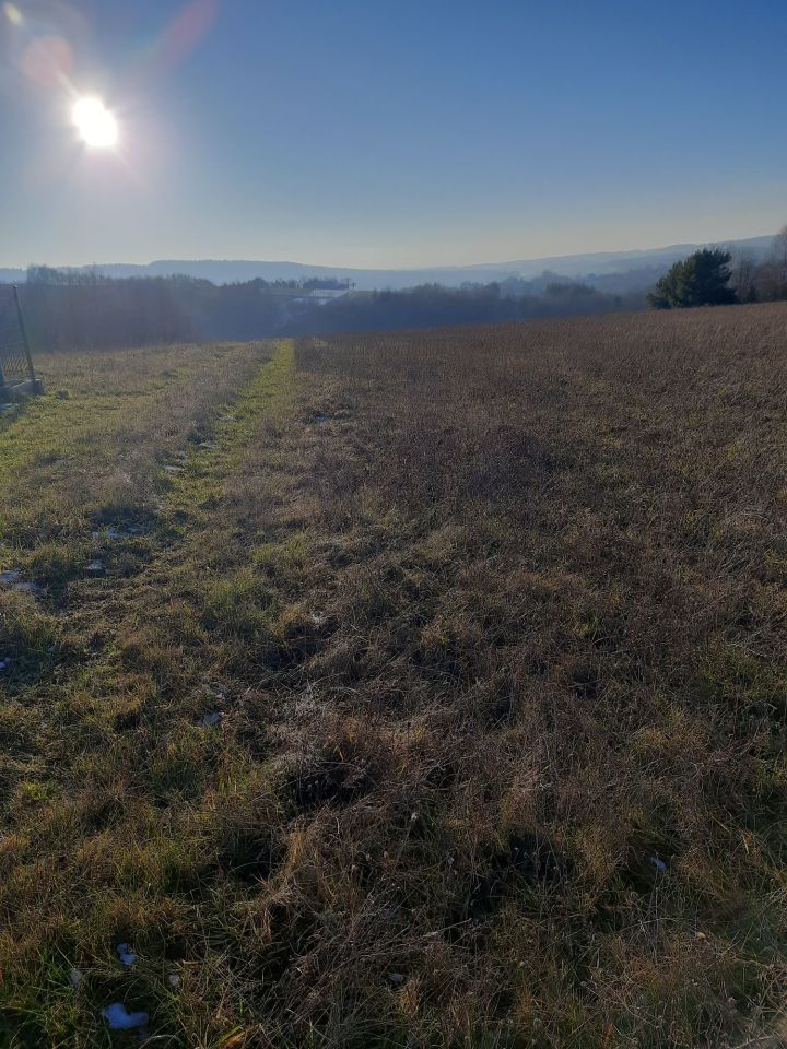 Działka rolno-budowlana Moszczenica. Zdjęcie 5
