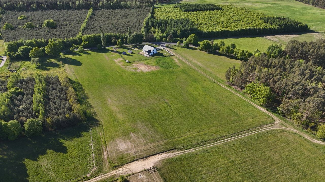 Działka rolno-budowlana Grabowiec. Zdjęcie 10
