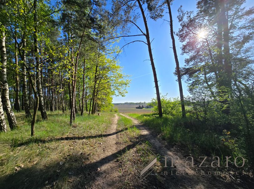 Działka rolna Józefinka. Zdjęcie 2