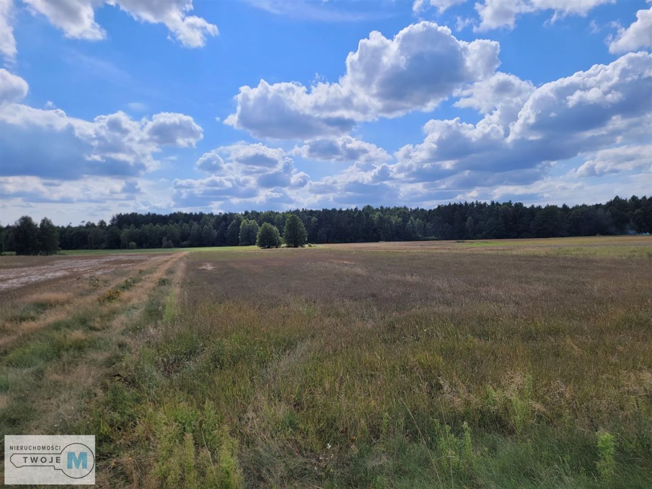 Działka rekreacyjna Stanowiska. Zdjęcie 2