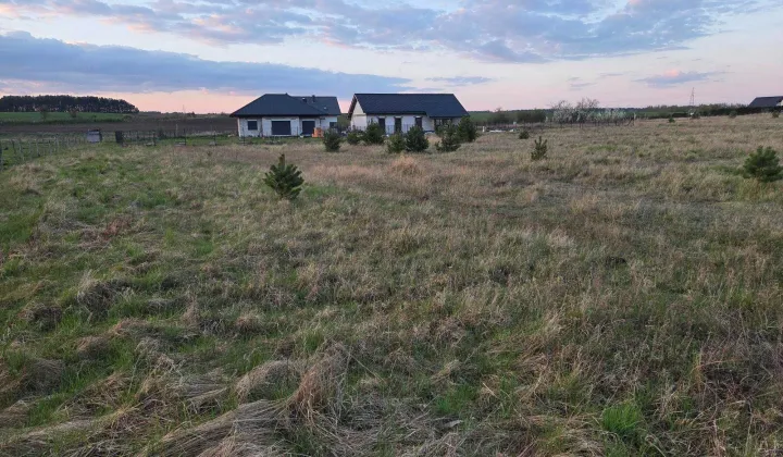 Działka rolno-budowlana Dębno, ul. Chojeńska