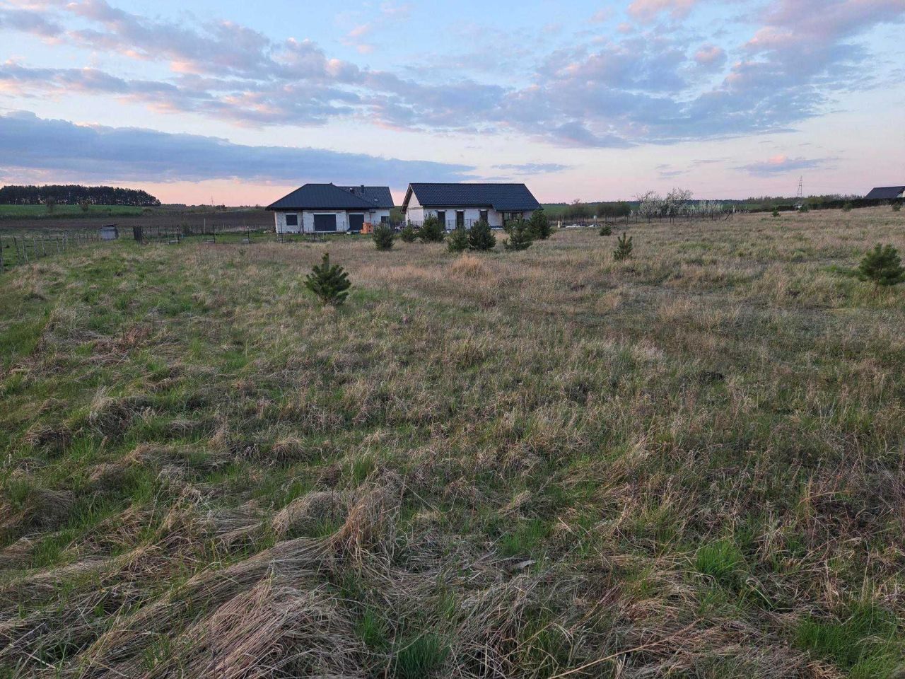 Działka rolno-budowlana Dębno, ul. Chojeńska. Zdjęcie 1