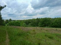 Działka budowlana Glincz Nowy Glińcz, ul. Słoneczna. Zdjęcie 3