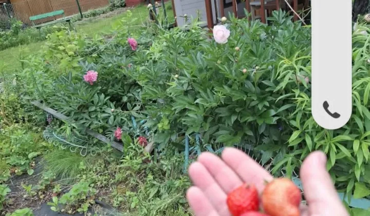 Działka rod Stara Łomża przy Szosie, ul. Szosa do Mężenina