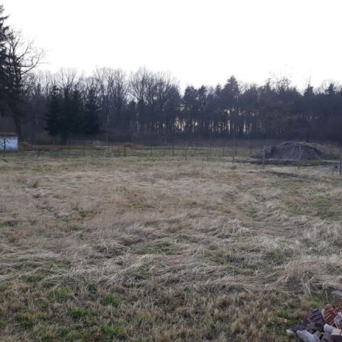 Działka budowlana Wołów, ul. Leśna. Zdjęcie 1