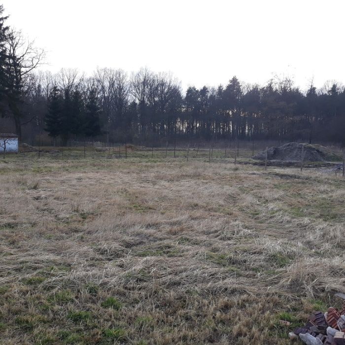 Działka budowlana Wołów, ul. Leśna. Zdjęcie 1