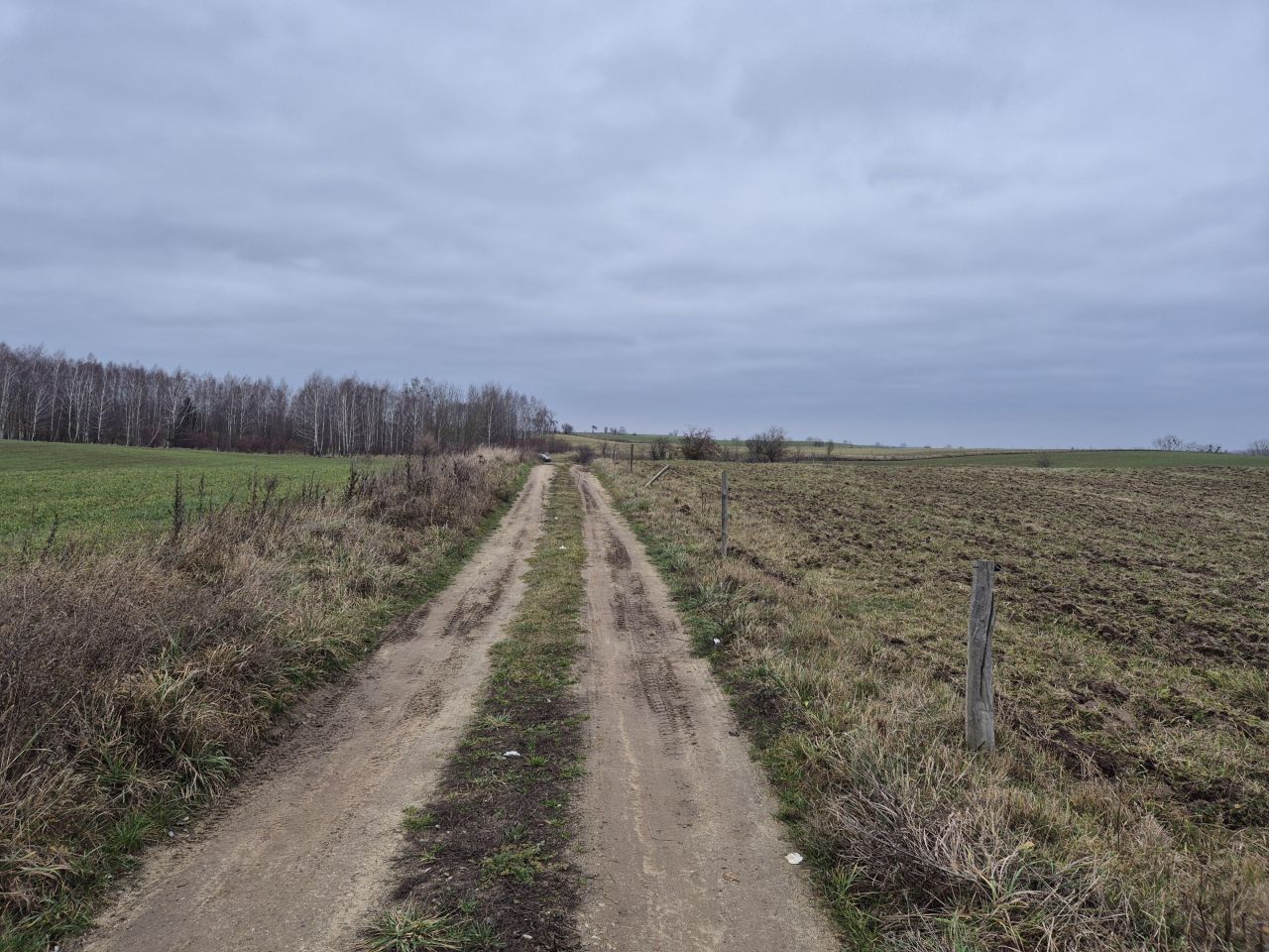Działka rolna Nawiady. Zdjęcie 12