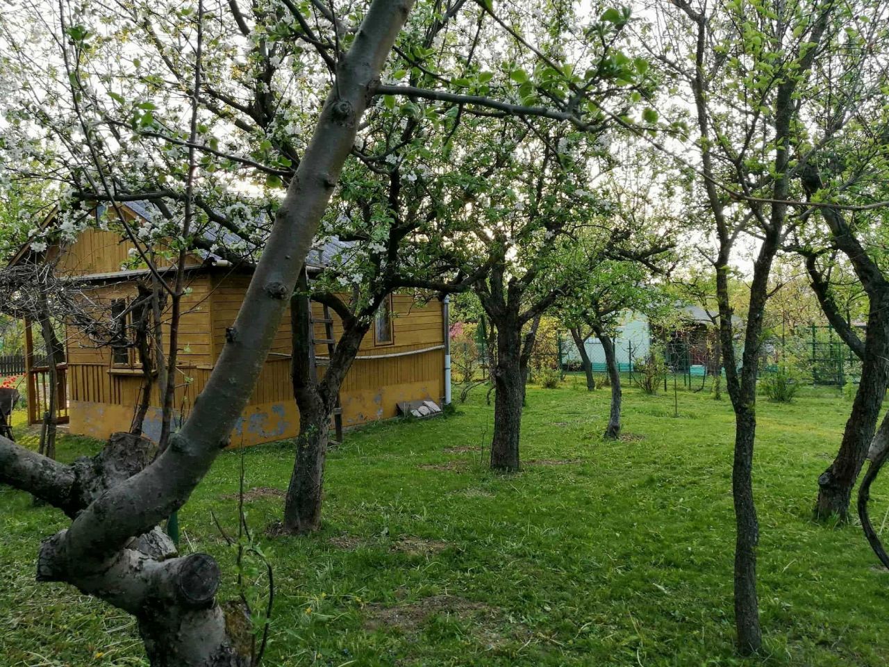 Działka rod Uniszowice. Zdjęcie 3