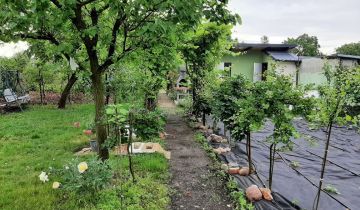 Działka rod Leszno, ul. Dożynkowa