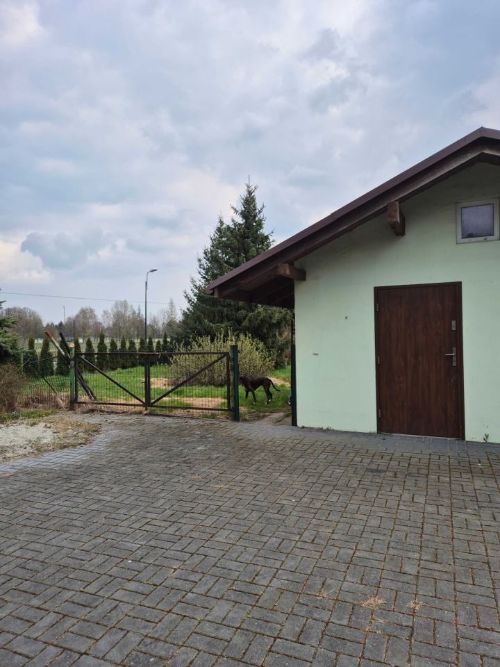 Działka rekreacyjna Kobiór. Zdjęcie 8