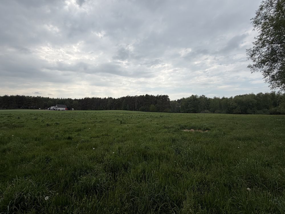 Działka budowlana Tomki. Zdjęcie 1