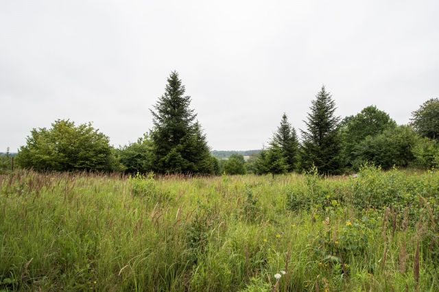 dom wolnostojący, 5 pokoi Słomczyn, ul. Wilanowska. Zdjęcie 38
