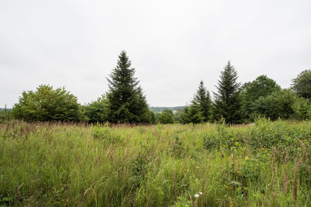 dom wolnostojący, 5 pokoi Słomczyn, ul. Wilanowska. Zdjęcie 38