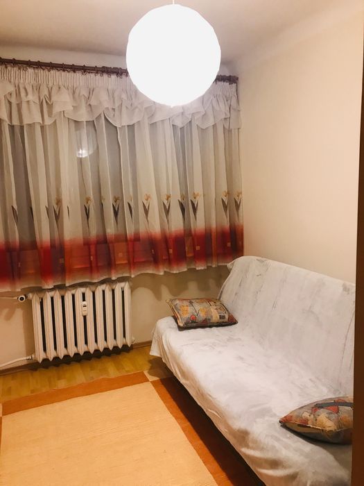 Zdjęcie 5