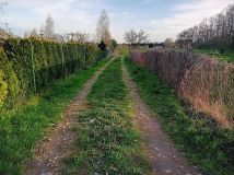 Działka inwestycyjna Binowo. Zdjęcie 2