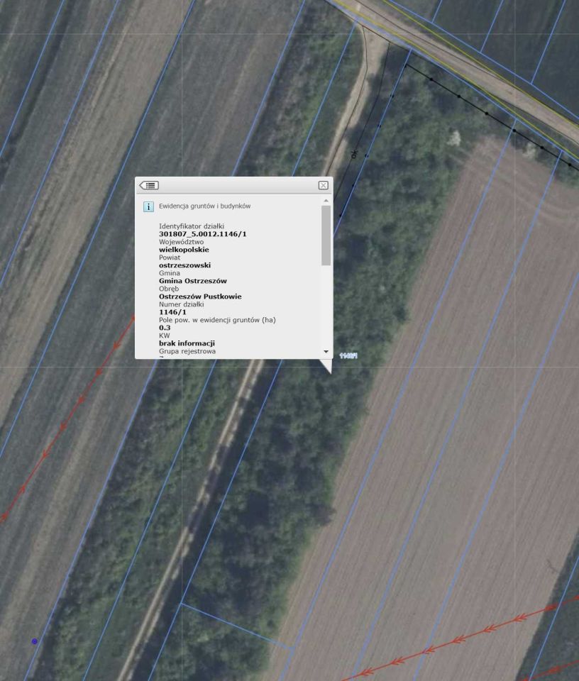 Działka rolna Ostrzeszów-Pustkowie. Zdjęcie 2