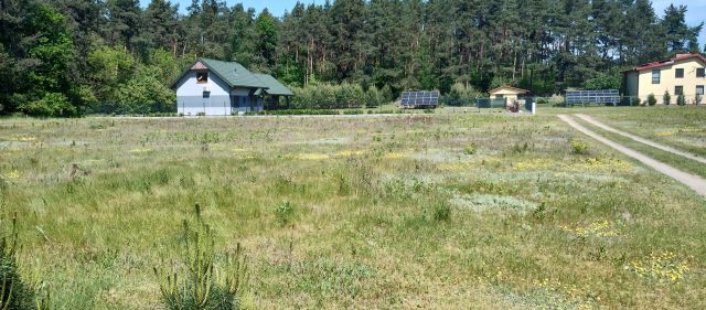 Działka rolna Dębniaki. Zdjęcie 1