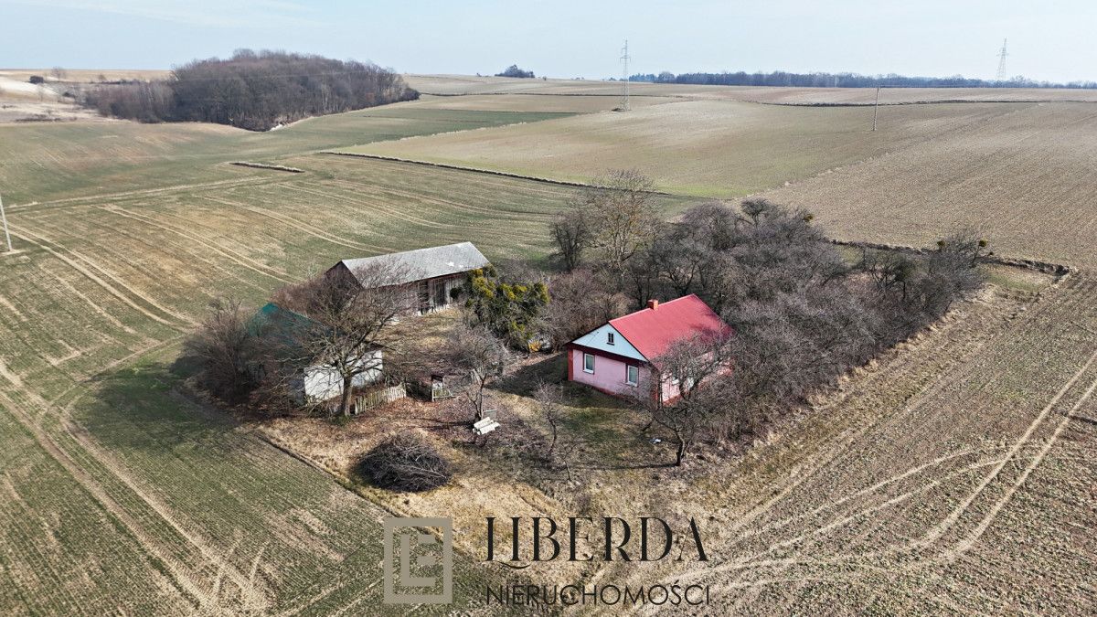 Działka siedliskowa Wierzbica. Zdjęcie 3