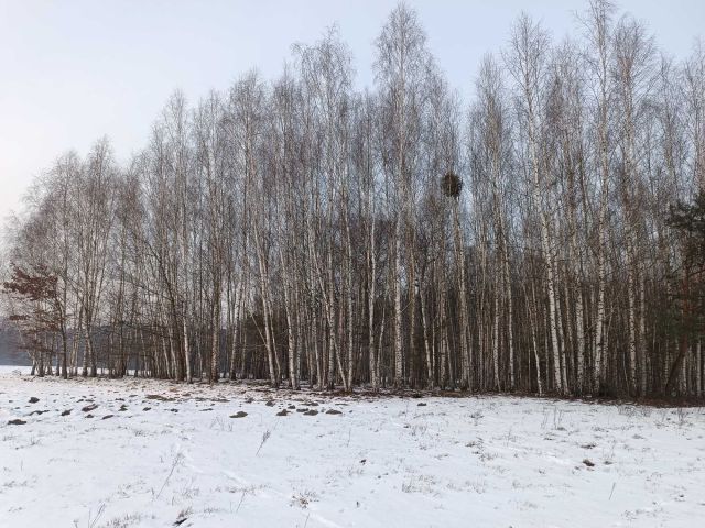 Działka rolna Bieliny. Zdjęcie 1