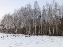 Działka rolna Bieliny