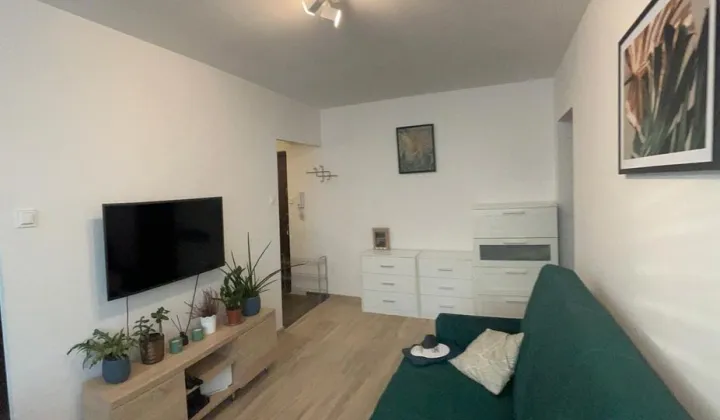 Mieszkanie 2-pokojowe Wrocław Krzyki