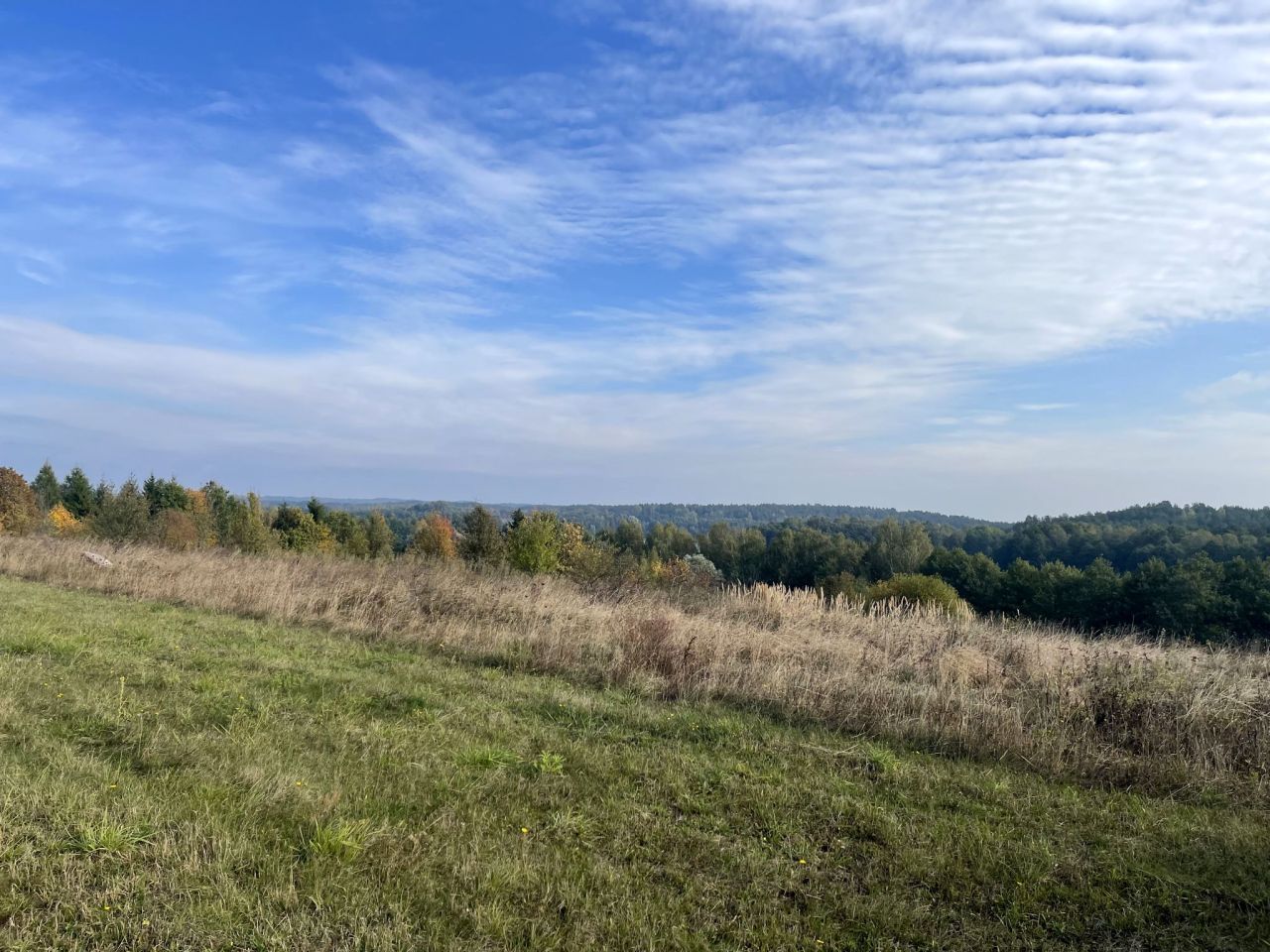 Działka budowlana Jakubowo. Zdjęcie 10