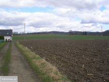 Działka rolna Święcko. Zdjęcie 4