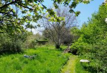 Działka rod Wałbrzych Podzamcze, ROD. Zdjęcie 3