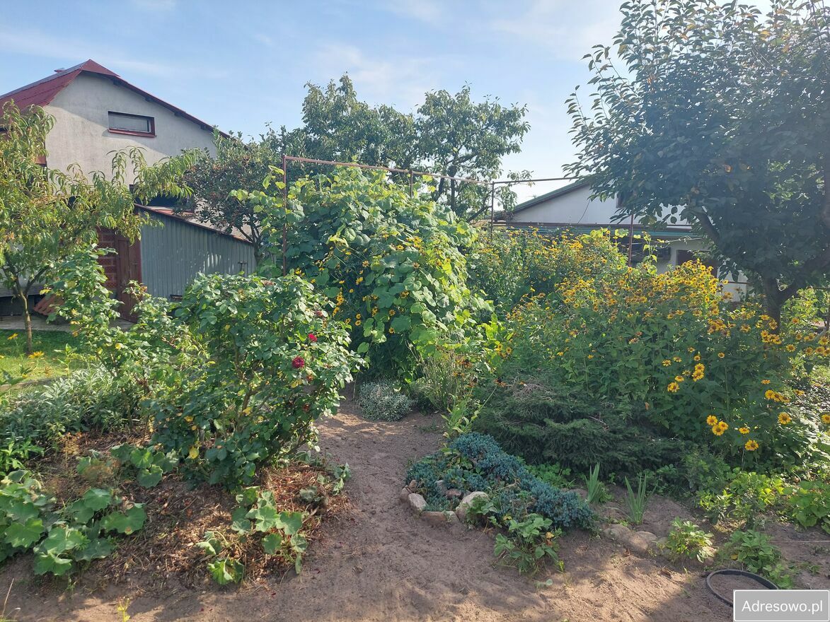 Działka rod Śrem, ul. Józefa Chełmońskiego. Zdjęcie 9