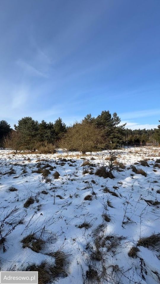 Działka budowlana Bydgoszcz Opławiec, ul. Opławiec. Zdjęcie 1