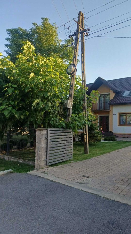 dom wolnostojący Wilczyce. Zdjęcie 5