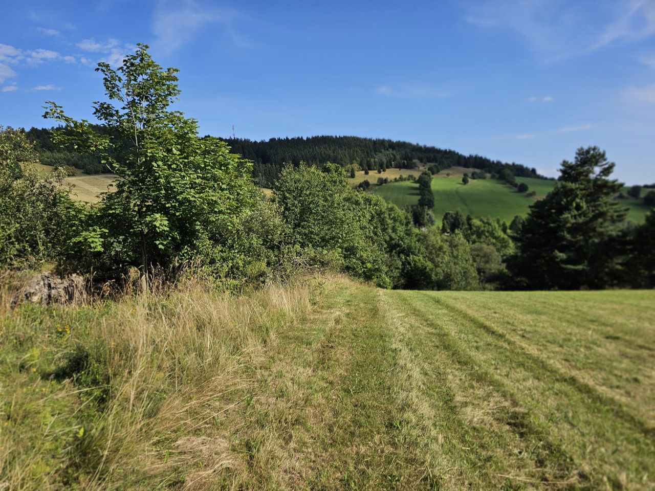 Działka budowlana Sierpnica, ul. Świerkowa. Zdjęcie 4