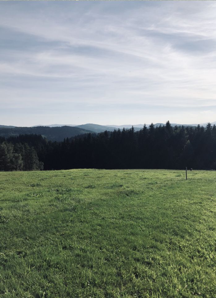 Działka inwestycyjna Mszalnica. Zdjęcie 14