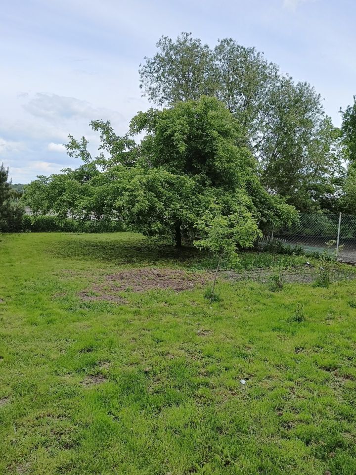 dom wolnostojący, 5 pokoi Wólka Cycowska. Zdjęcie 9