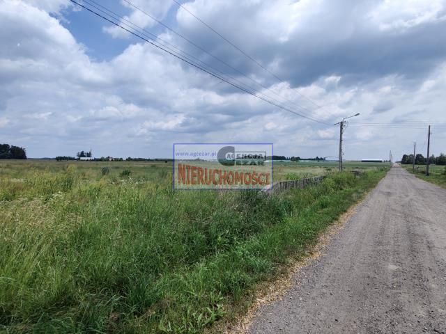 Działka rolna Brzozówka. Zdjęcie 5