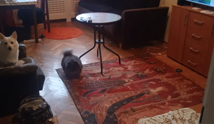 Mieszkanie 1-pokojowe Warszawa Mokotów, ul. Etiudy Rewolucyjnej