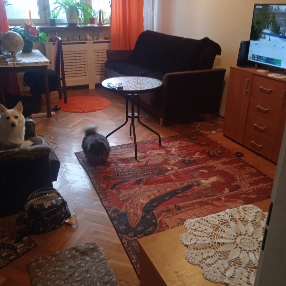 Mieszkanie 1-pokojowe Warszawa Mokotów, ul. Etiudy Rewolucyjnej. Zdjęcie 1