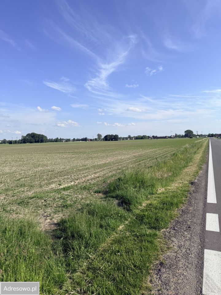 Działka budowlana Osiny. Zdjęcie 15