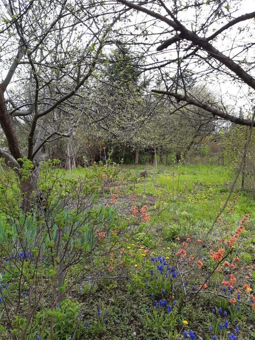 Działka rod Warszawa Mokotów. Zdjęcie 5