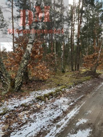 Działka leśna Warszawa Wesoła. Zdjęcie 3