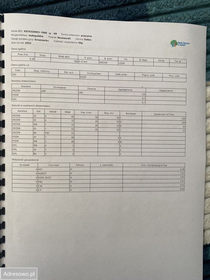 Działka leśna Gruszowiec. Zdjęcie 3