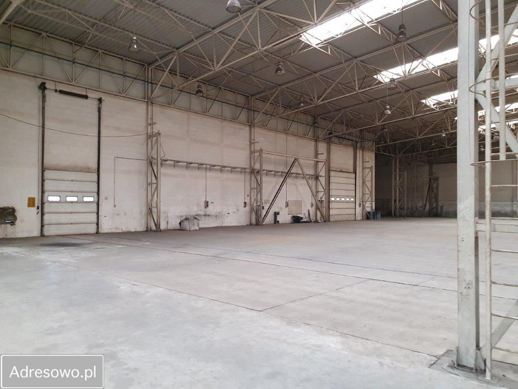 Hala/magazyn Ryglice. Zdjęcie 7