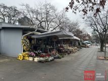 Lokal Warszawa Żoliborz, ul. Powązkowska