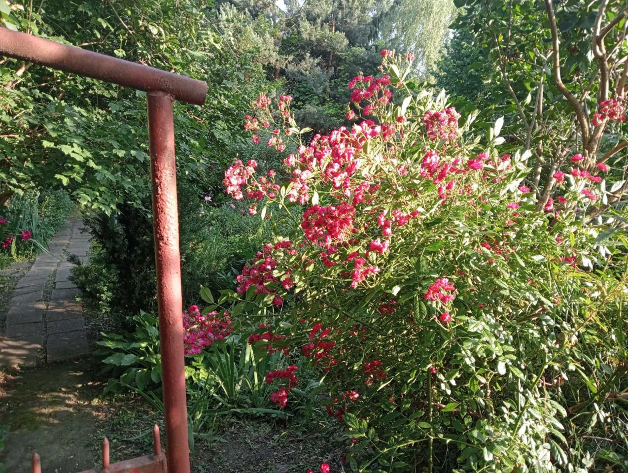 Działka rod Warszawa Praga-Południe, ul. Kinowa. Zdjęcie 6