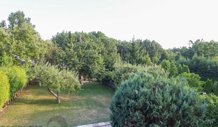 bliźniak, 6 pokoi Szczecin Podjuchy