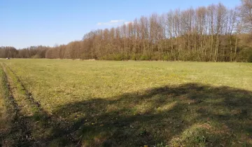 Działka na sprzedaż bez pośredników 
 
 Niemgłowy - Widok 5