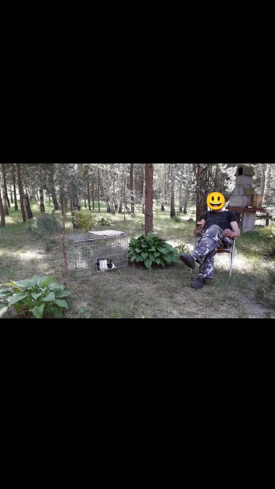 Działka budowlana Brudnów. Zdjęcie 30