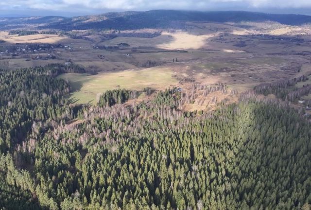 Działka rolna Czarna. Zdjęcie 12