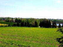 Działka rolno-budowlana Gruta. Zdjęcie 4